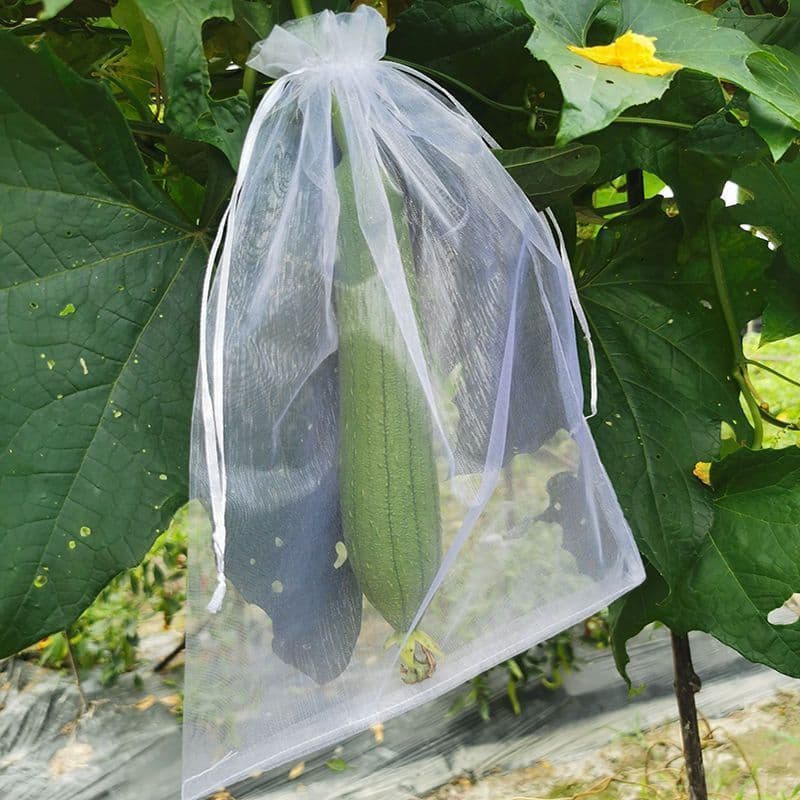 Fruit Bagging Bird and Insect Protection Specialized Nylon Mesh Bag Grape Fig Loquat Mango Bag Strawberry Protective Bag