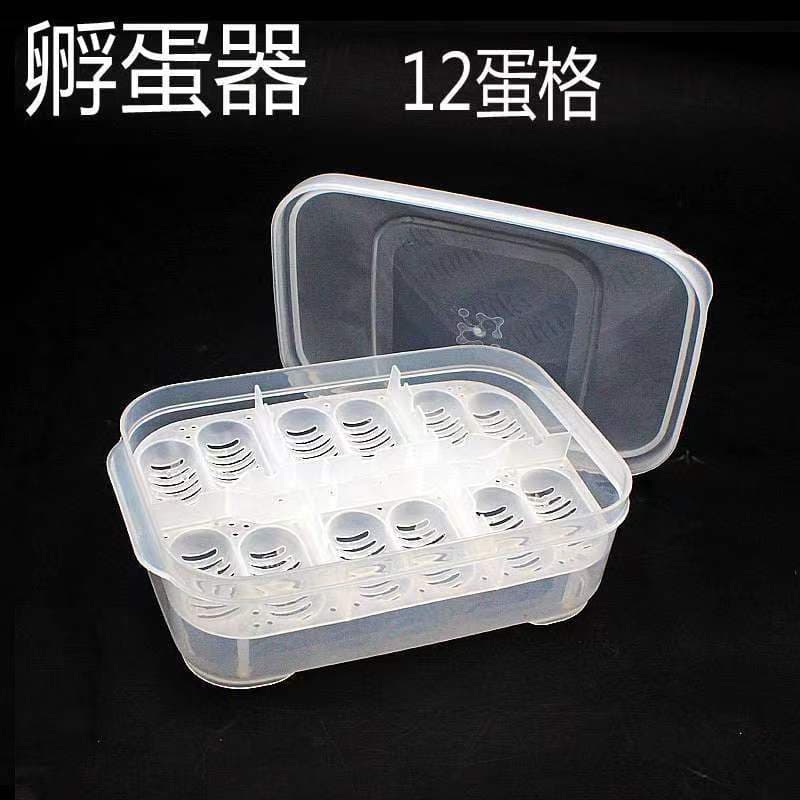 CM gecko snake lizard reptile pet hatching egg tray delivery box reptile hatching box hatching egg device manufacturer direct wholesale