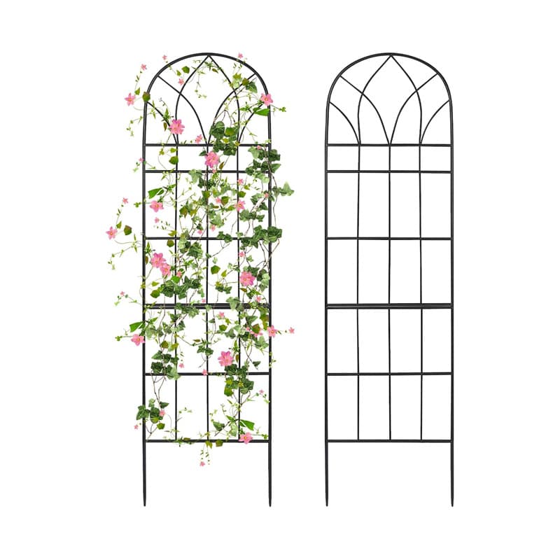 Clematis climbing pergola grid rose rose straight flower stand plant climbing bracket wall fence wrought iron flower stand