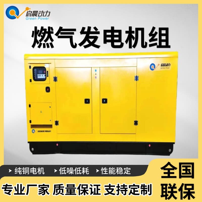 200kW Gas Generator Set 200 Kilowatt Oilfield Chemical Plant Outdoor Power Supply Natural Gas Generator Set