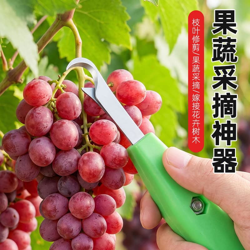 High-Efficiency Effort-Saving Pepper Picking Tool Fruit and Vegetable Scissors Garden Harvesting Shears for Grapes, Chili Peppers, and Flowers