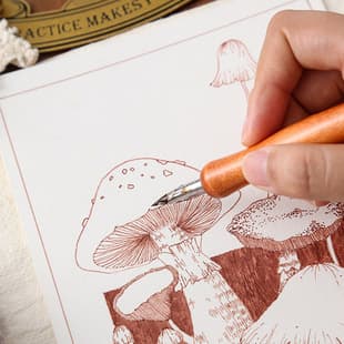 Tachikawa Nib Wood Handle Dip Pen Pen Light Color Line Drawing Painting Pen Comic Watercolor Pen Nib Graffiti