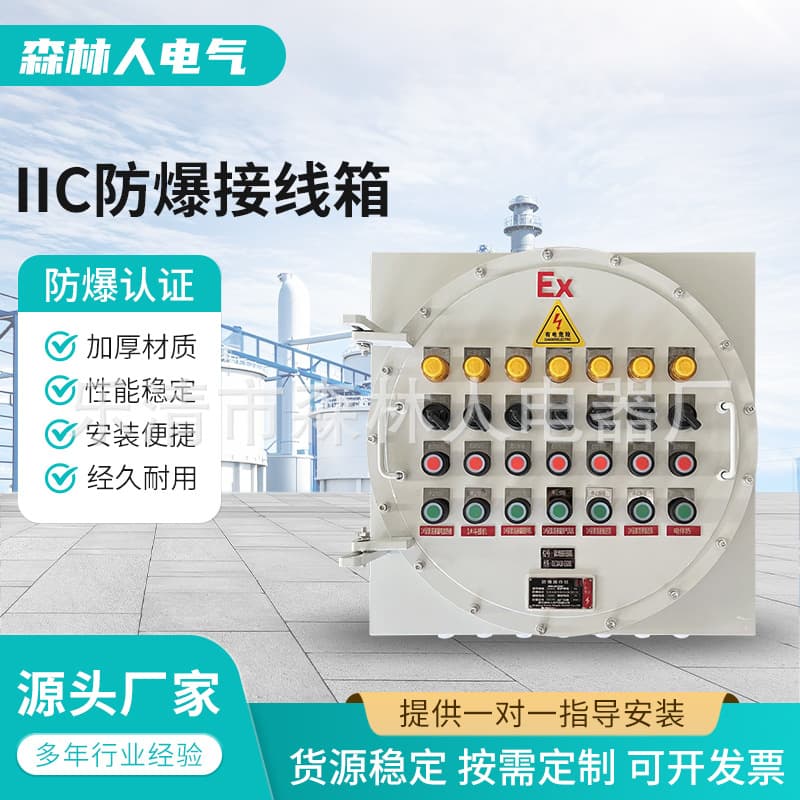 IIC Explosion-Proof Junction Box, Explosion-Proof Distribution Box, Control Box, Module Box, Instrument Box, Flameproof Terminal Box, Electric Control Button