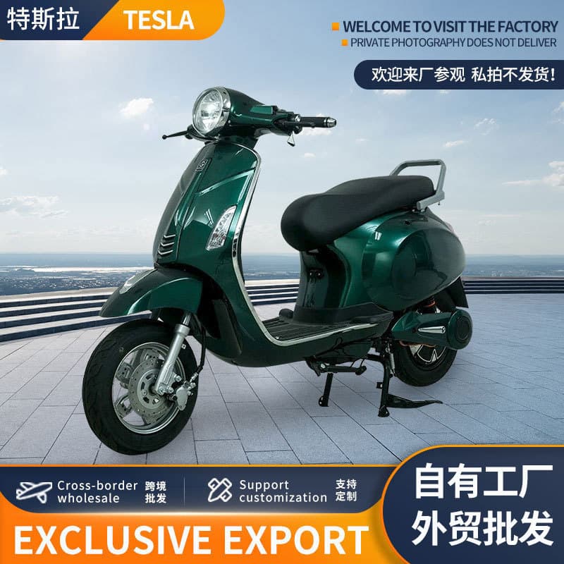 Full Container Processing Singapore Electric Scooter TSL Electric Scooter 48V Adult Commuter Electric Vehicle Cross-Border Custom Order