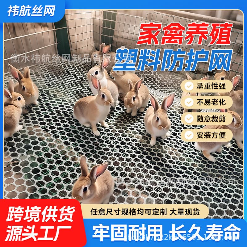 White plastic grids for pet cat prevention, pet foot pads, isolation nets, poultry farming nets, balcony protection, window sealing, and stair grids.