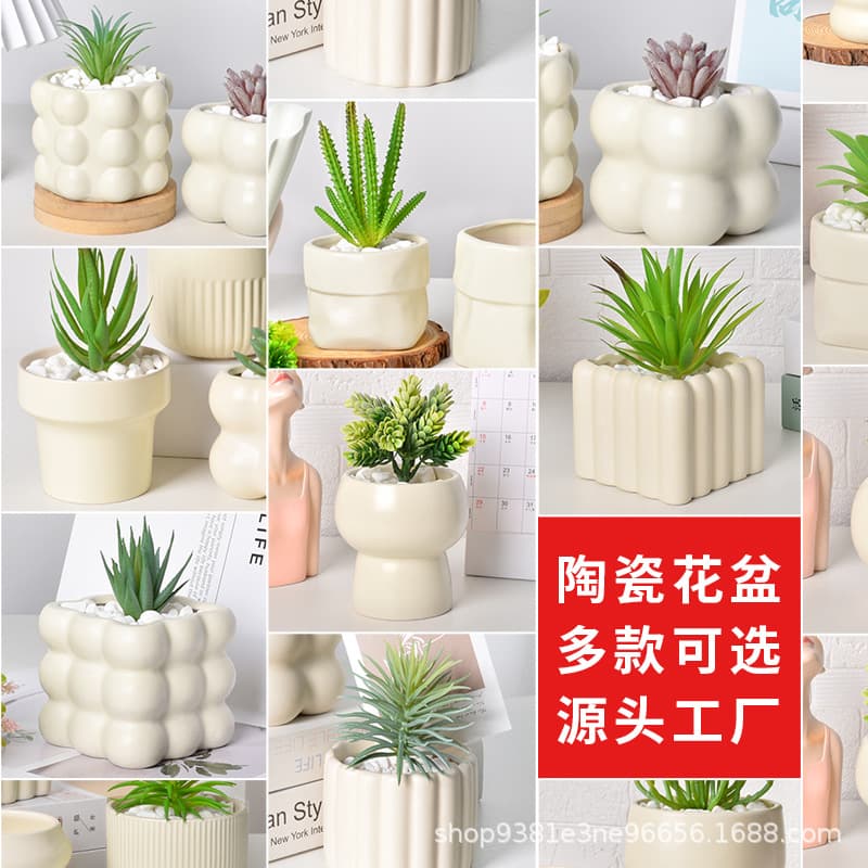 Ceramic Flower Pot Dehua Succulent Plant Pot Breathable Creative Desktop Decoration Phalaenopsis Green Plant Decorative Potted Plant Cross-border
