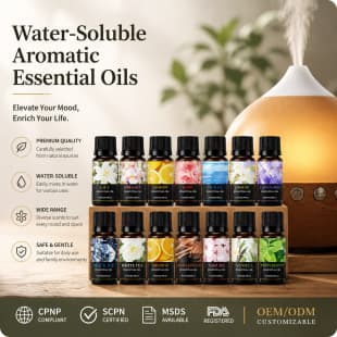 Cross-Border Trade Aromatherapy Essential Oil Diffuser Stone Long-Lasting Fresh Water-Soluble Essential Oil Manufacturer Wholesale