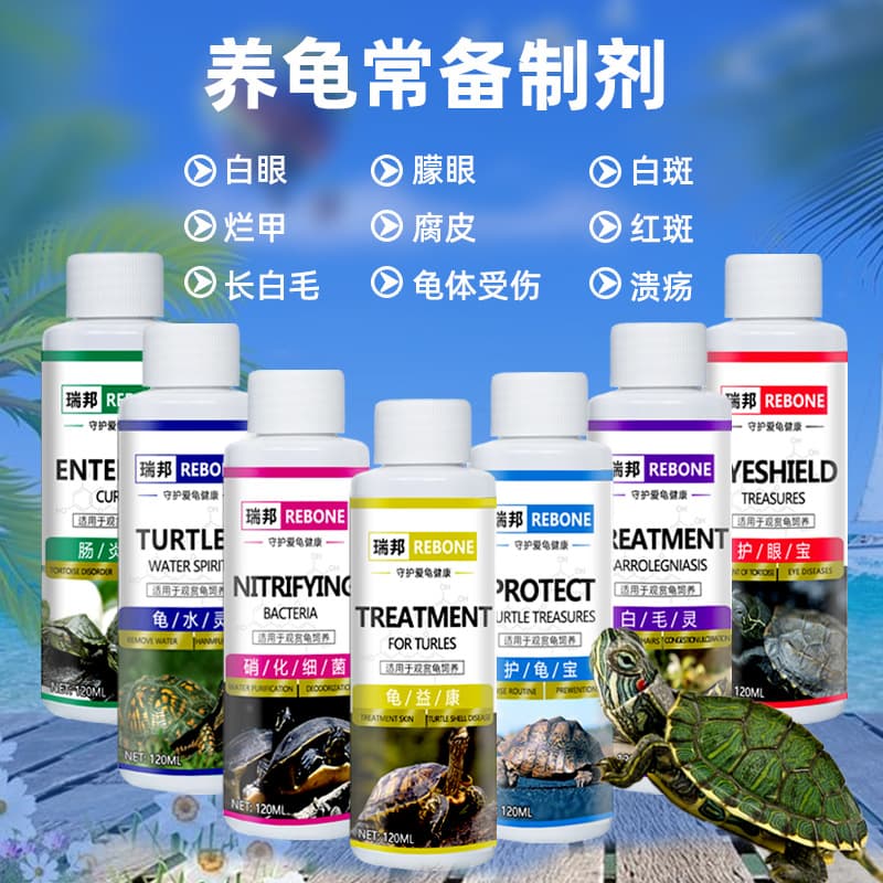 Wholesale Turtle and Alligator Prevention Solution for Preventing Turtle Skin Rot and Shell Damage, Povidone-Iodine Turtle Care Solution, Turtle Disinfectant, Cleaning Solution