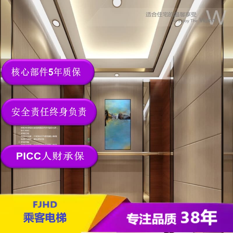 Energy-saving and silent machine-room-less passenger elevator series, manufacturer provides design, installation, and full-service wholesale supply.