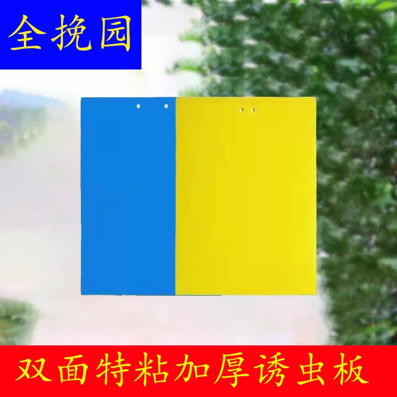 Dual-Sided Yellow and Blue Sticky Boards for Greenhouses and Home Pest Control, Thrips Traps