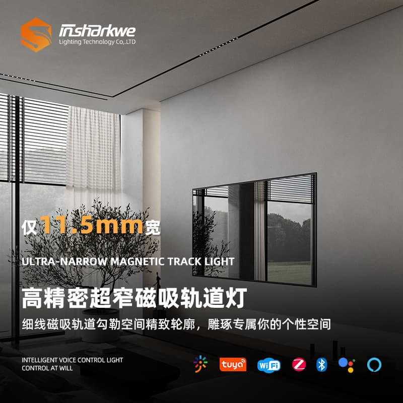Ultra-thin Embedded Track Lighting, Surface Mount for Smart Living Room, Magnetic Fixtures with Pre-installed Full Spectrum Eye Protection, Mainless Design