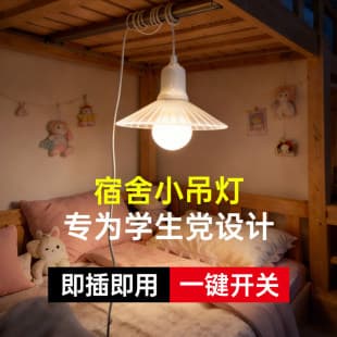 Dormitory Bed Hanging Light 220V Plug-in with Switch, Night Light for Study, Upper Bunk Bedside Lamp