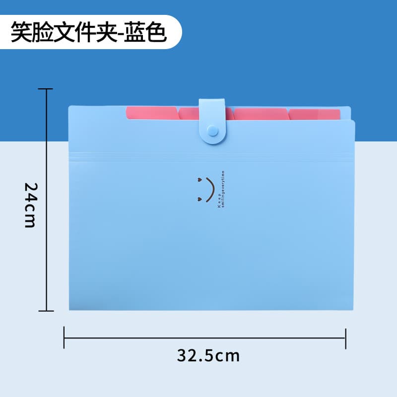 Plastic A4 Accordion File Organizer for Test Papers, Subject Classification Student Tutoring Bag, File Folder for Office Use, Insert Pages Wholesale