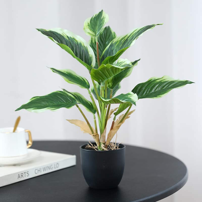Amazon Artificial Green Plant Potted Dieffenbachia & Pothos Plastic Flowers Home Desktop Floor Decoration Fake Greenery