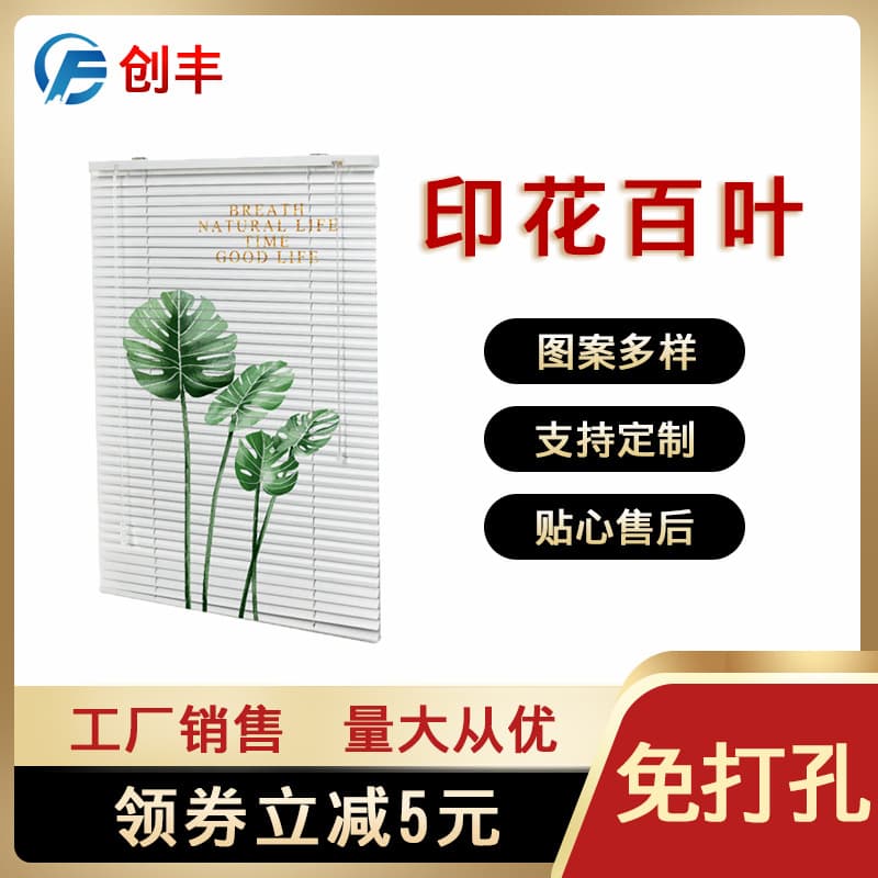 Factory Direct Customized Printed Roller Blinds Various Sizes Home Decor Window Treatments Modern Minimalist Style