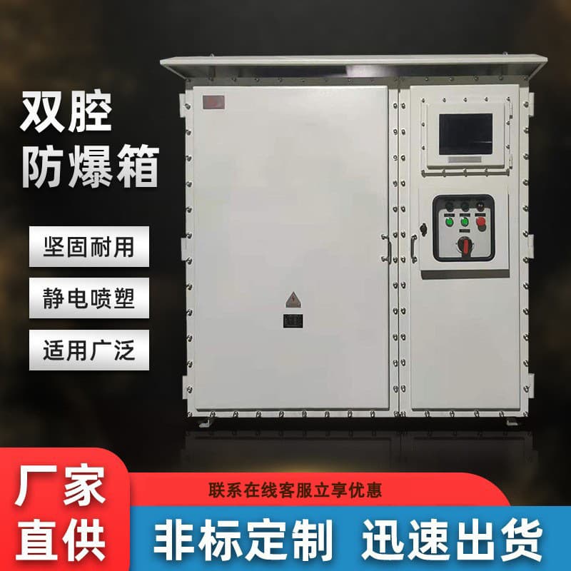 Double-chamber explosion-proof box stainless steel electrical control box explosion-proof distribution box junction box high protection industrial box waterproof
