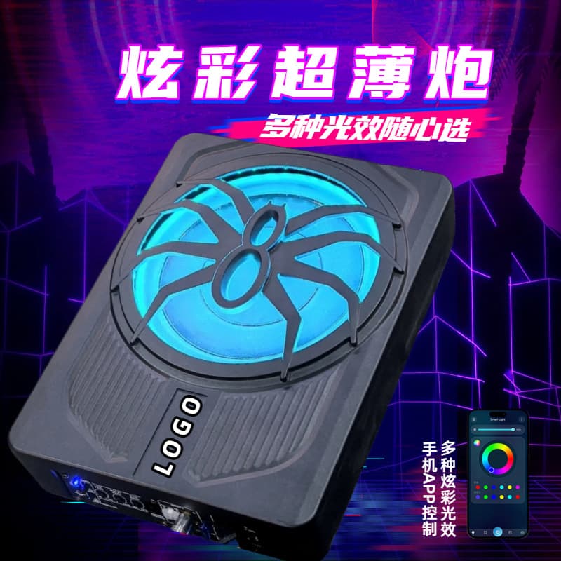 Factory Direct 10-Inch Car Active Ultra-Thin Subwoofer 12V Under-Seat Subwoofer Car Audio Wholesale
