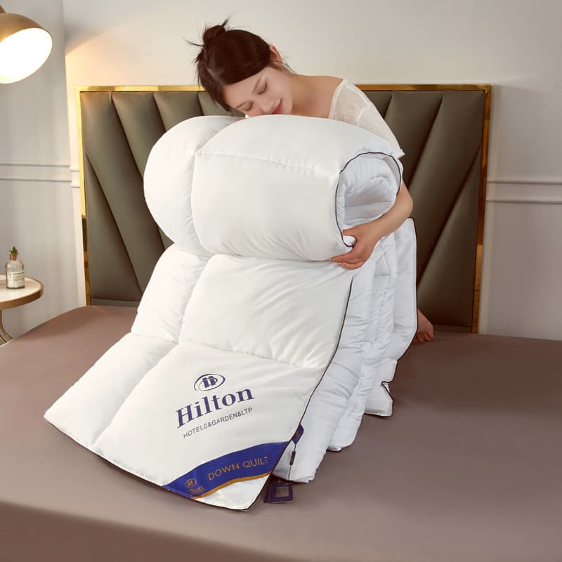 Factory Direct Hilton Hotel Down Duvet Core Wholesale Thickened Winter Duvet Conference Sales Event Gift Duvet
