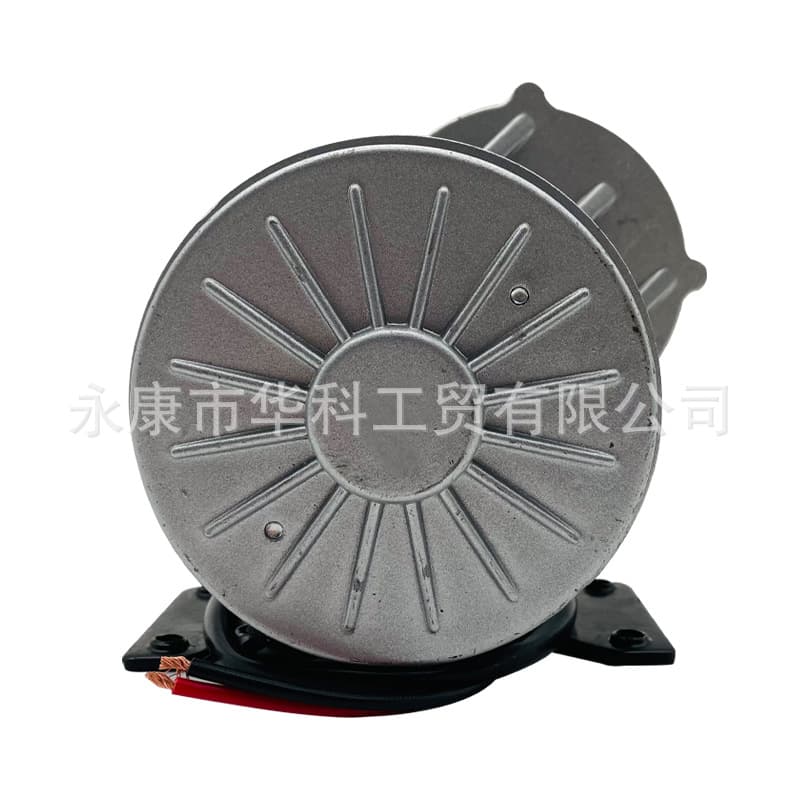 Lingying 24V 250W Brushed Geared Motor MY1016Z2 for Electric Bike Short Shaft with Gear