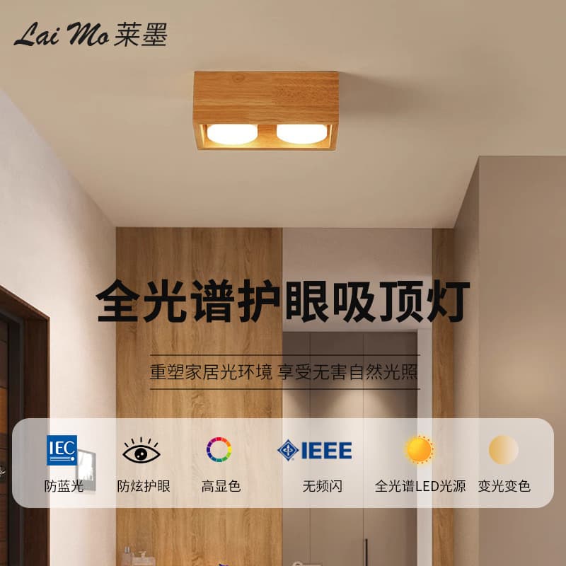LEDL Modern Minimalist Ceiling Light, Recessed Downlight, Living Room Bedroom Lighting, Japanese Style Corridor Hallway Light, Surface Mounted