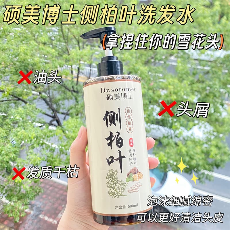Platycladus orientalis Shampoo Plant-Based Nourishing Refreshing Ginger Anti-Dandruff Itch Relief Smooth Polygonum Multiflorum Shampoo Hot Sale