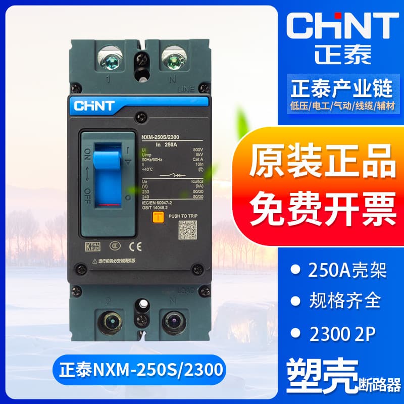 Chint Molded Case Circuit Breaker Main Switch NXM-250S/2300 Single Phase 2P 160A 200A 250A