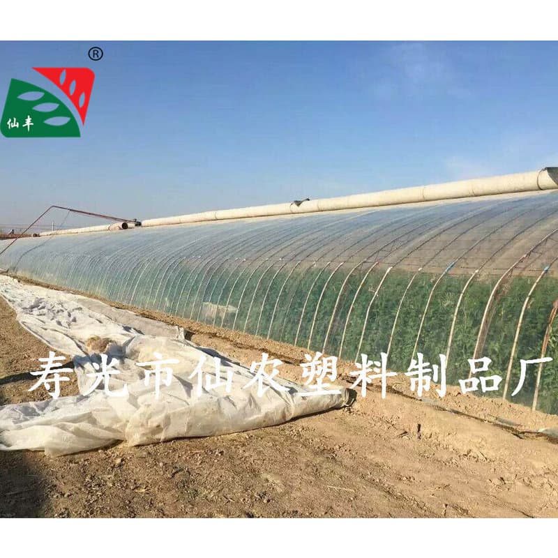 Greenhouse Film, High-Quality Crystal PO Film, High Light Transmission, Anti-Aging, Anti-Fog and Drip-Free