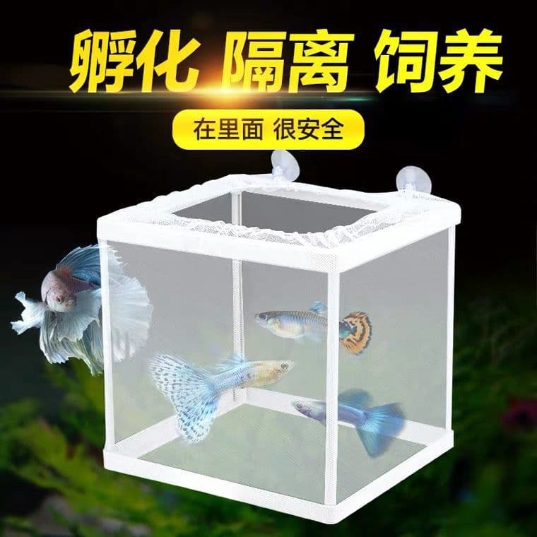 Aquarium Isolation Box, Fry Incubation Protection Box, Female Fish Breeding Maternity Ward, Betta Sick Fish Isolation, Aquarium Supplies Direct Sale