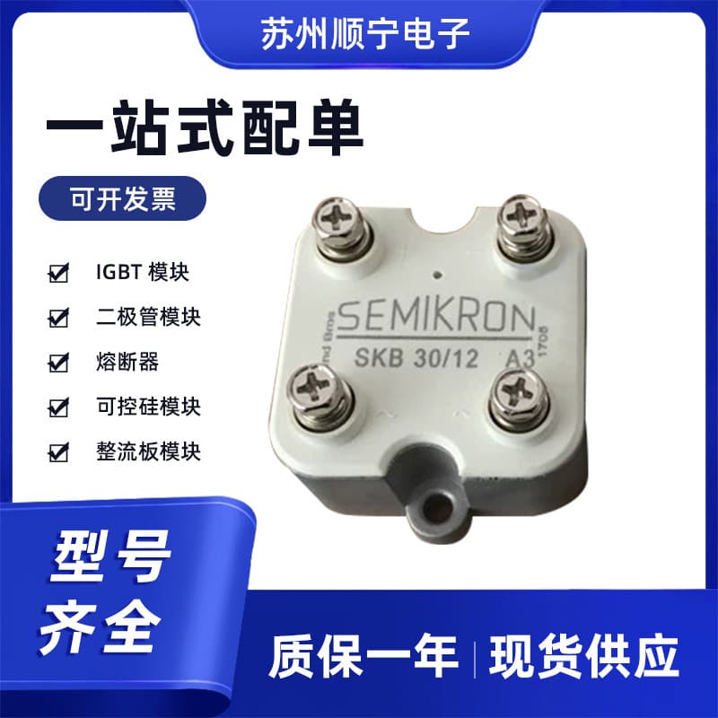 SKB30-12A1 Shunning Rectifier Bridge Module Brand New Original Bulk Orders Negotiable Fast Shipping