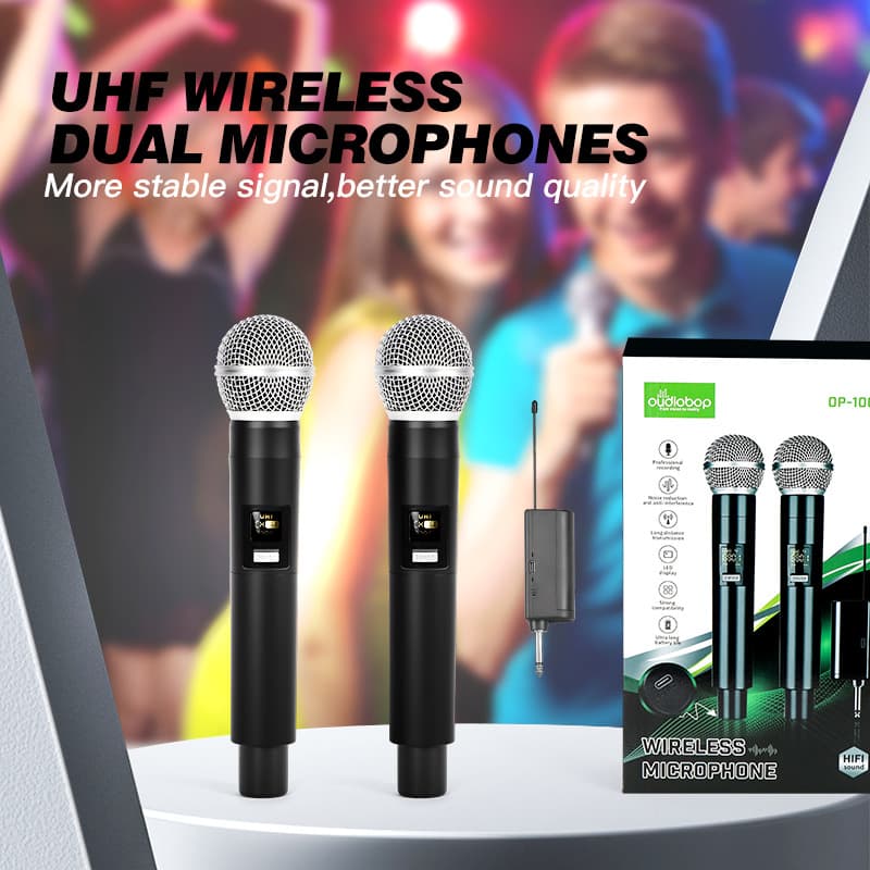 2.4G Wireless Microphone Charging Professional Stage Performance KTV Charging Live Streaming Microphone Cross-Border One-to-Two