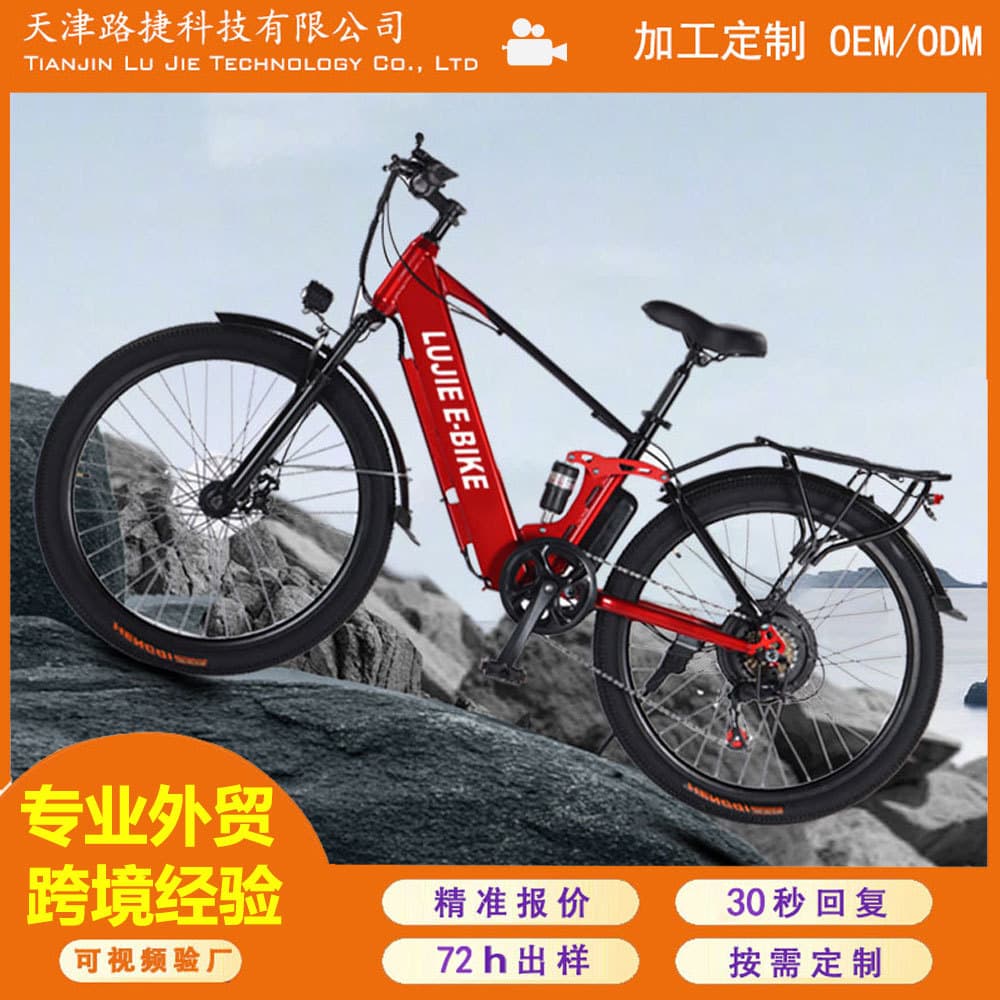 Strictly Selected Lujie Electric Bicycle Lithium Battery Adult Lightweight Aluminum Alloy Commuter Ebike for Export