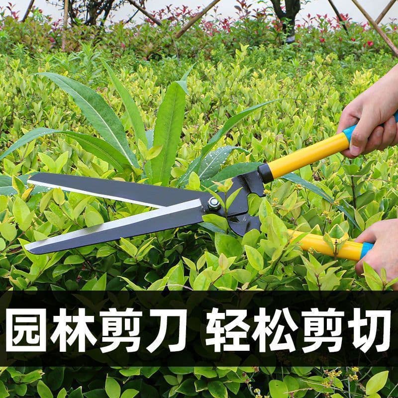 Large Scissors, Flower Shears, Gardening Shears, Specialized Greenery Tools, Long-Handled Pruning Shears, Lawn Shears, Hedge Trimmers, Branch Trimmers