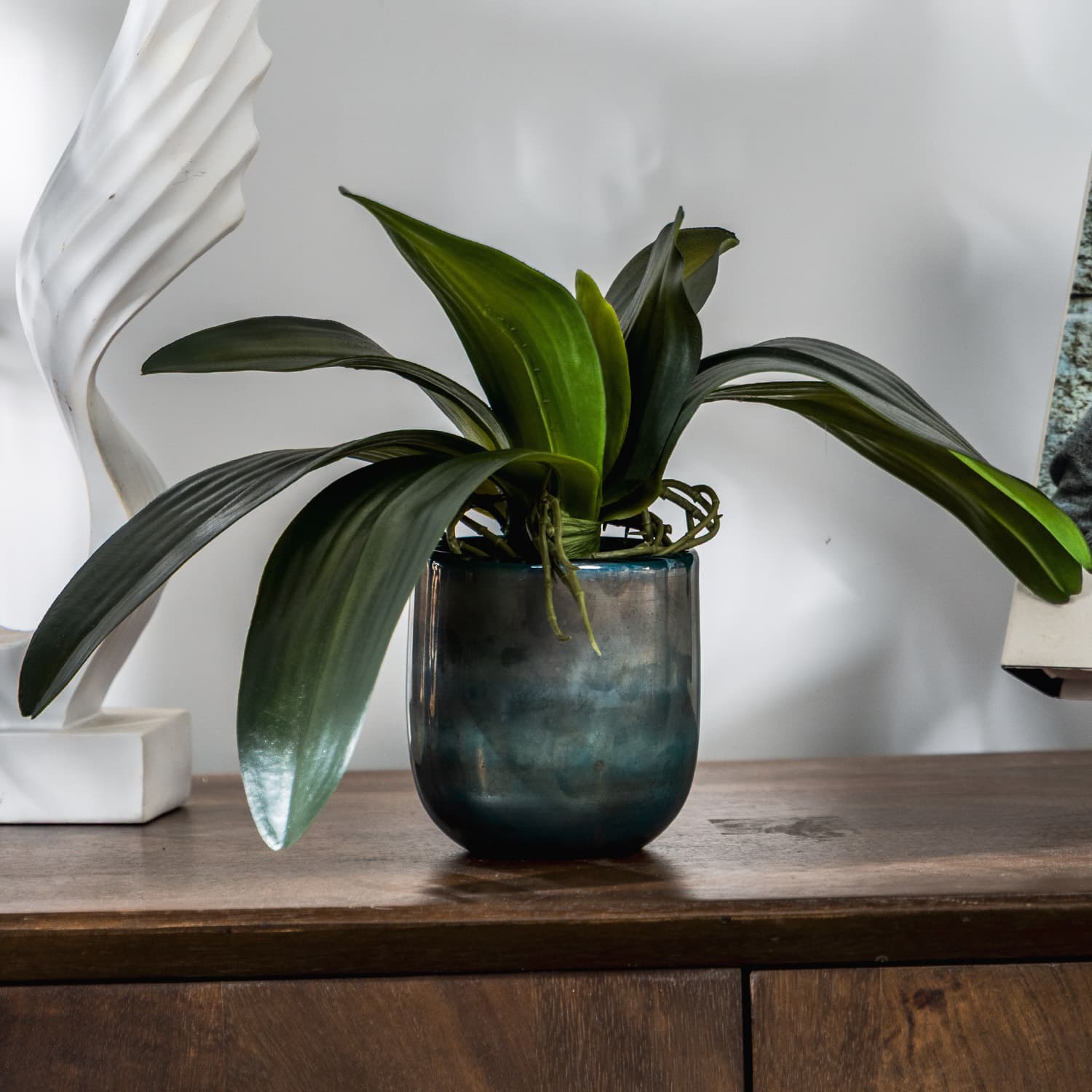 Wholesale Phalaenopsis Leaves, Same Style Phalaenopsis Leaves and Flowers for Photography, Home Decoration, Artificial Flowers, and Decorative Ornaments