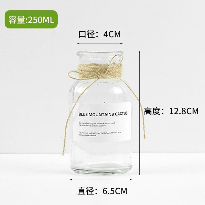 Minimalist Creative Vase Premium Light Luxury Home Decoration Small Glass Hydroponic Ins Style Ornament Vase