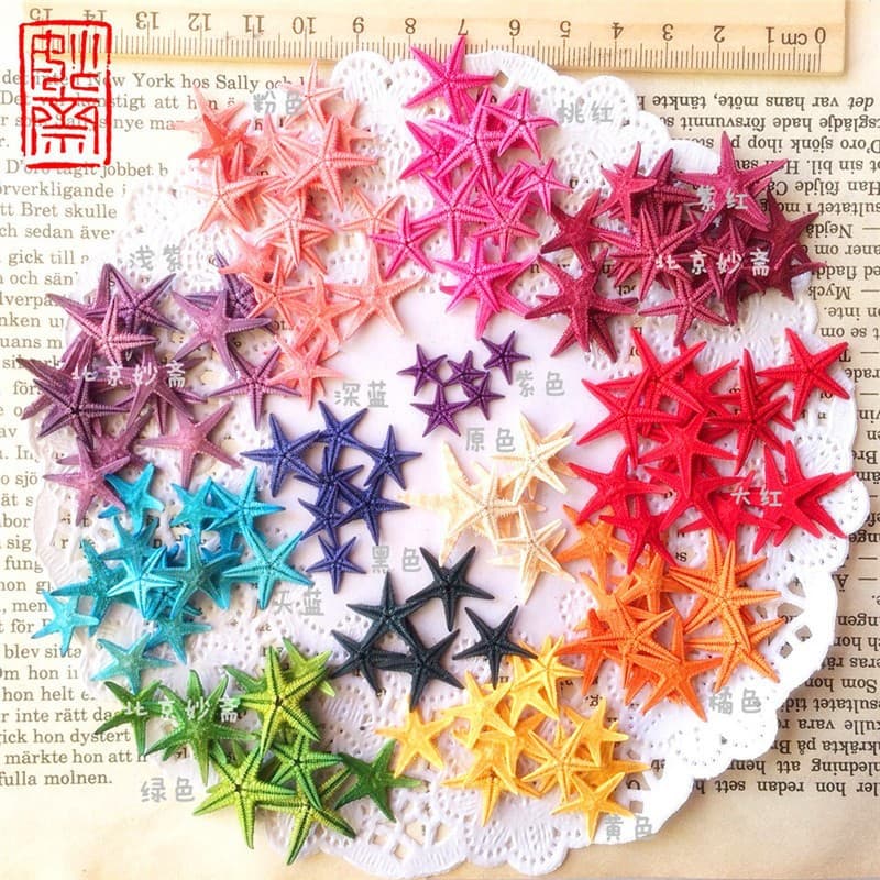 Hot-selling natural starfish, seashells, conch shells, miniature landscape decorations, hanging ornaments, photo frames, candles, and crafts.