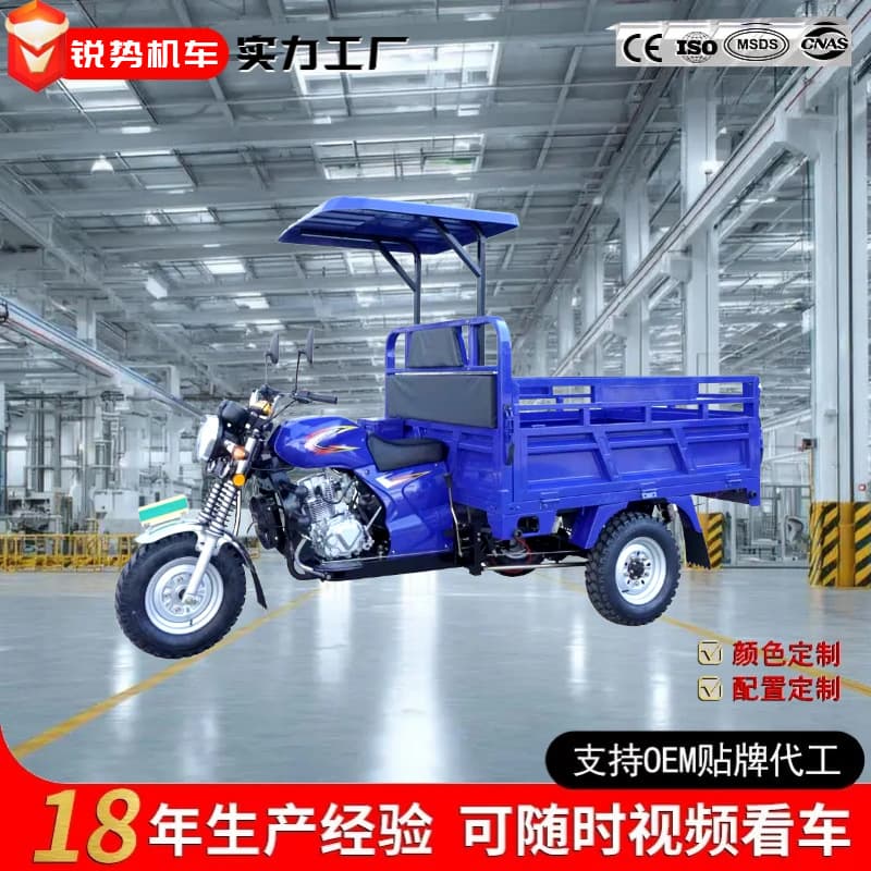 Africa Hot Selling Three-Wheeled Fuel Motorcycle Cargo Agricultural Dump Truck Gasoline Motorcycle Heavy-Duty Cross-Border