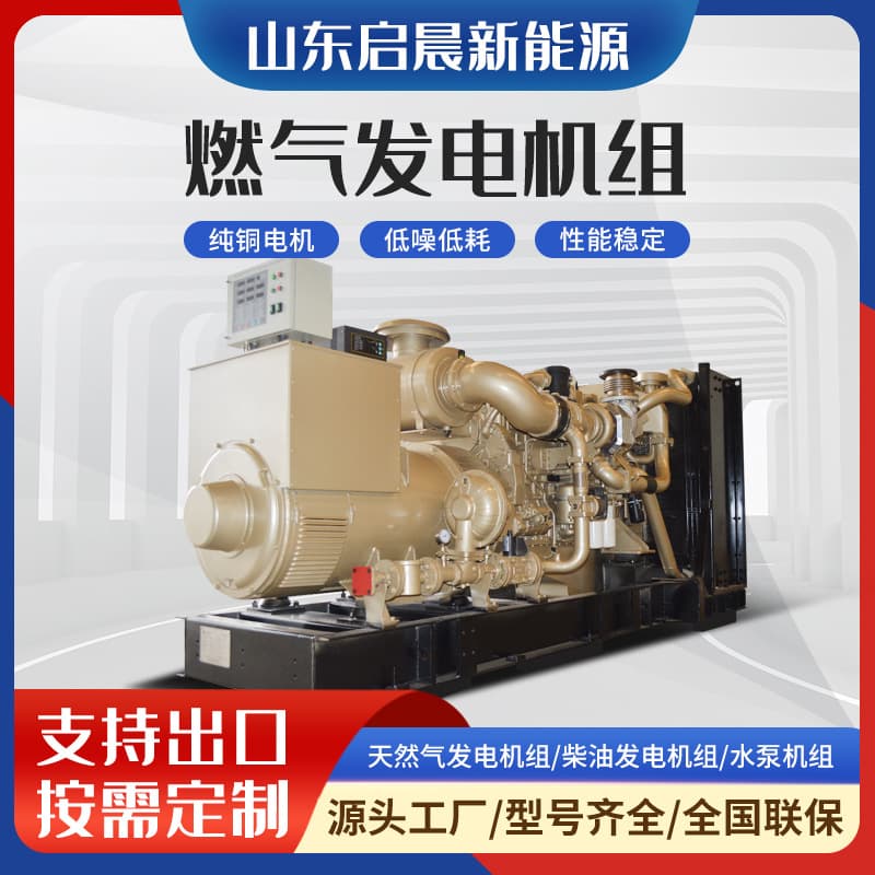 300kW Gas Generator for Sewage Treatment Plants and Food Waste Stations Standby Natural Gas Generator Set Equipment
