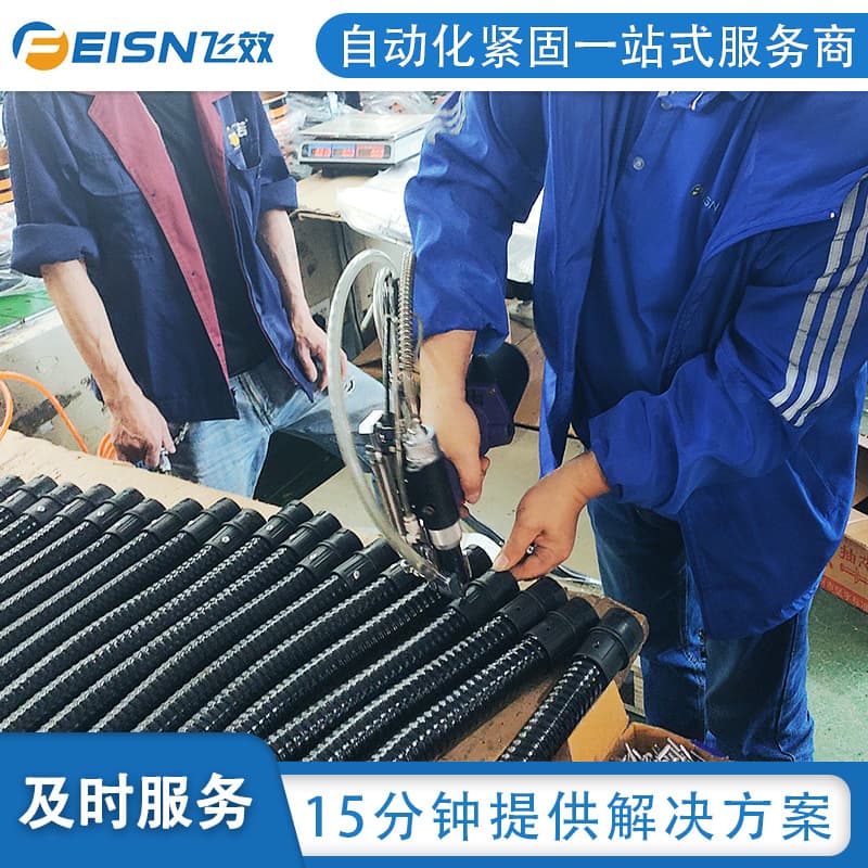 Feixiao Fully Automatic Blind Rivet Machine Auto Riveting Automatic Feeding Riveting Machine Manufacturer
