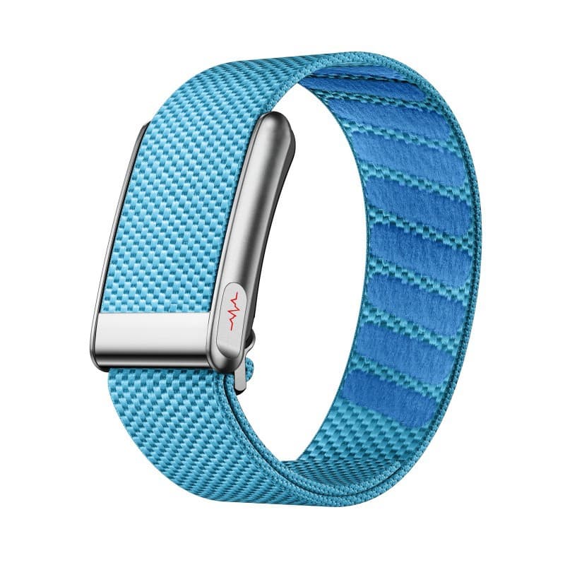 E500 (HealthWear) HRV Body Temperature Detection Blood Pressure NFC Remote Friends and Family ECG Smart Band