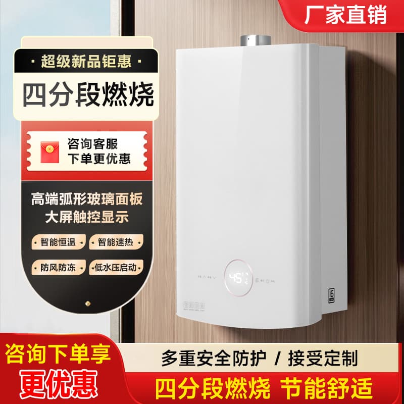 Wholesale strong exhaust constant temperature 16L gas water heater household natural gas factory national standard engineering custom