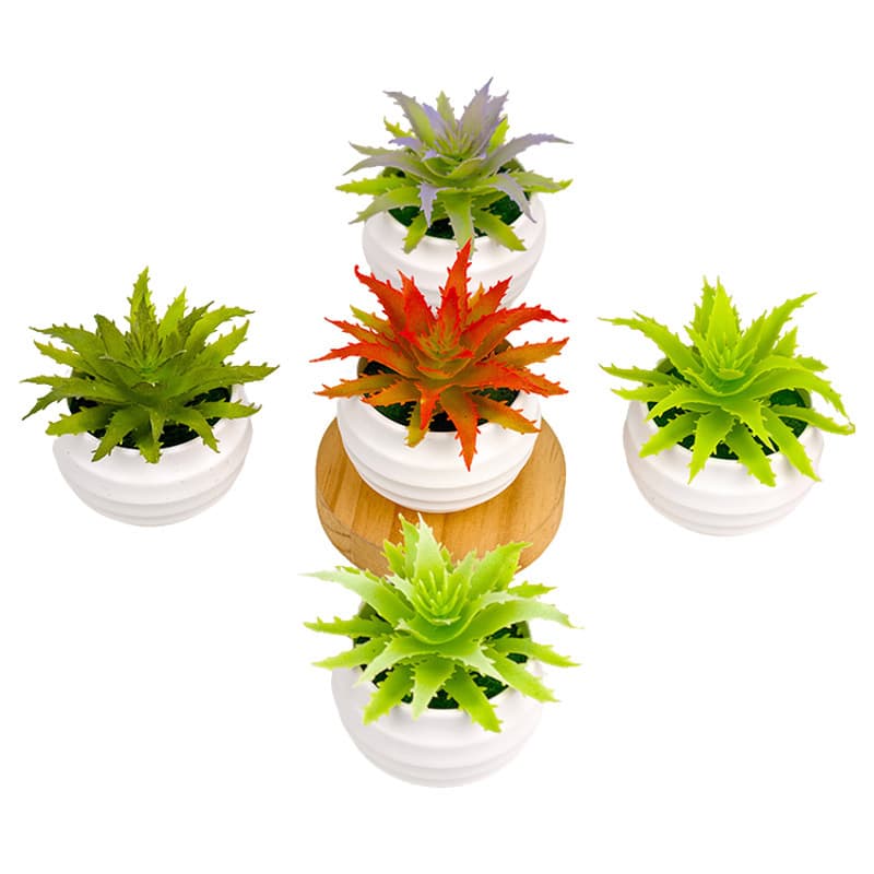 Cross-Border Simulation Succulent Artificial Greenery Small Bonsai Home Decoration Desktop Ornament Plastic Succulent Plant Fake Flower Art