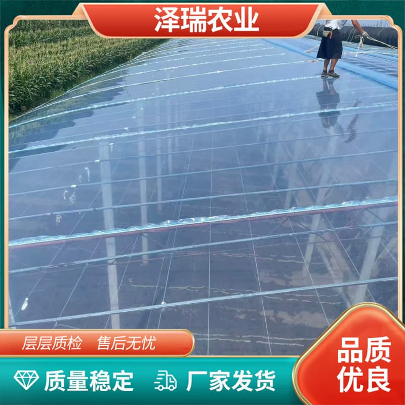 Light Conversion Film Manufacturer for Vegetable Flower Strawberry Greenhouse Optimizing Light Environment Windproof Waterproof Rain-Resistant
