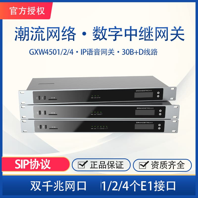 E1 Digital Trunk Gateway for Flowing Networks GXW4501/2/4120-channel 30B+D line voice gateway device