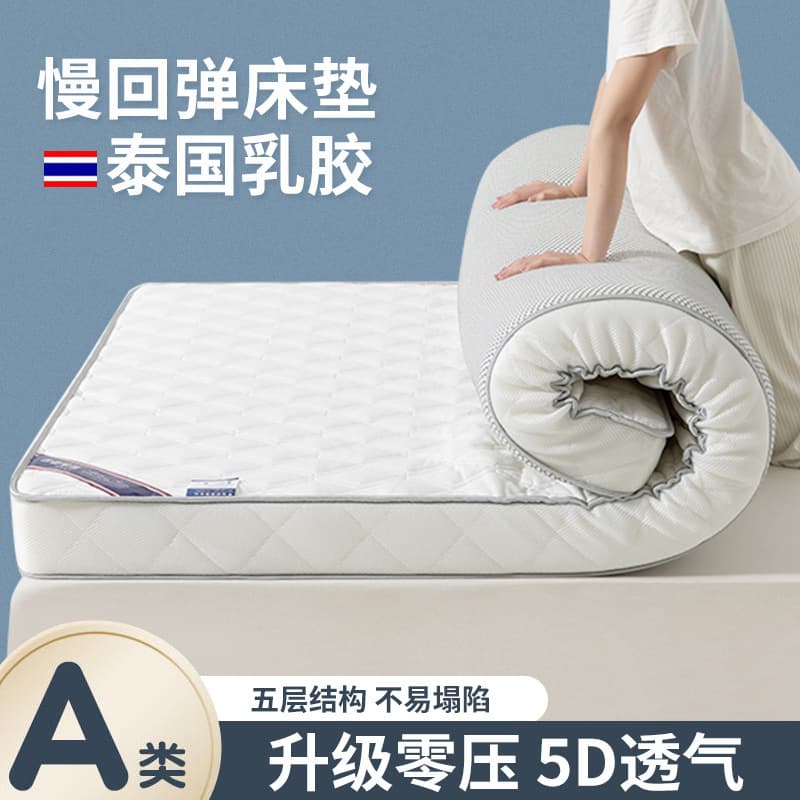 Newly Upgraded Latex Mattress for Rental and Home Use, Thick Floor Sleeping Mat for Students, Tatami Mattress, Dormitory Soft Padding Wholesale