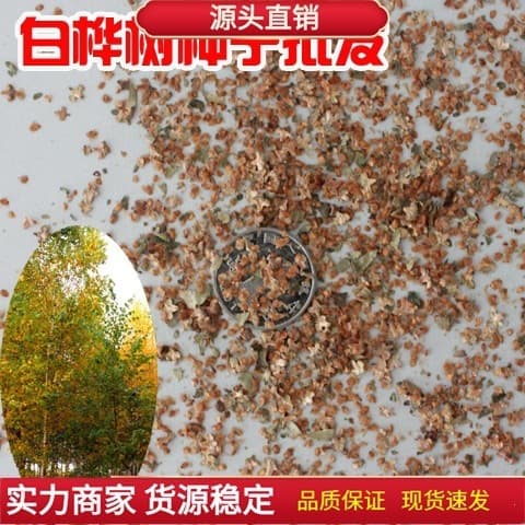 Wholesale Birch Tree Seeds, Birch Seeds, Silver Birch, Birch Bark Tree Seeds, Birch Tree Seeds, Birch Wood, Tree Seeds