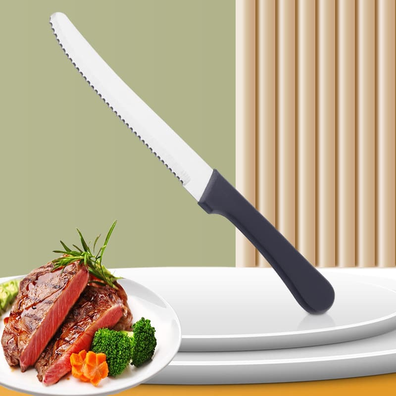 Amazon Best Seller Stainless Steel Steak Knife with Thick Plastic Handle Fine Serrated Blade for Western Dining