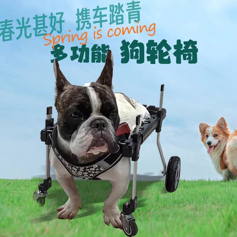 Dog Wheelchair for Hind Leg Paralysis Rehabilitation, Small Dog Mobility Aid, Cat Support, Teddy Pet Dog Rear Leg Brace