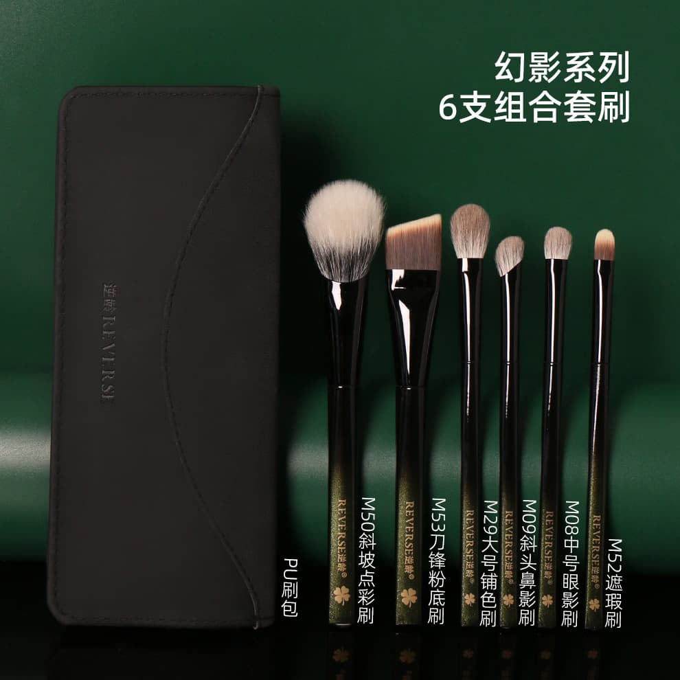 Age-Defying Modern Upgraded Phantom Series 6-Piece Brush Set for Beginners, Soft and Portable Makeup Brushes