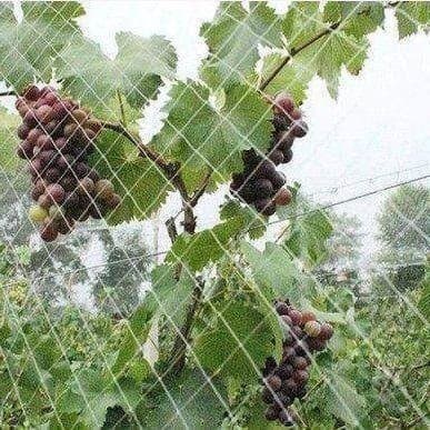 Cross-border Garden Orchard Bird Netting Polyethylene Bird Net Extruded Bird Net Grape Green Bird Net