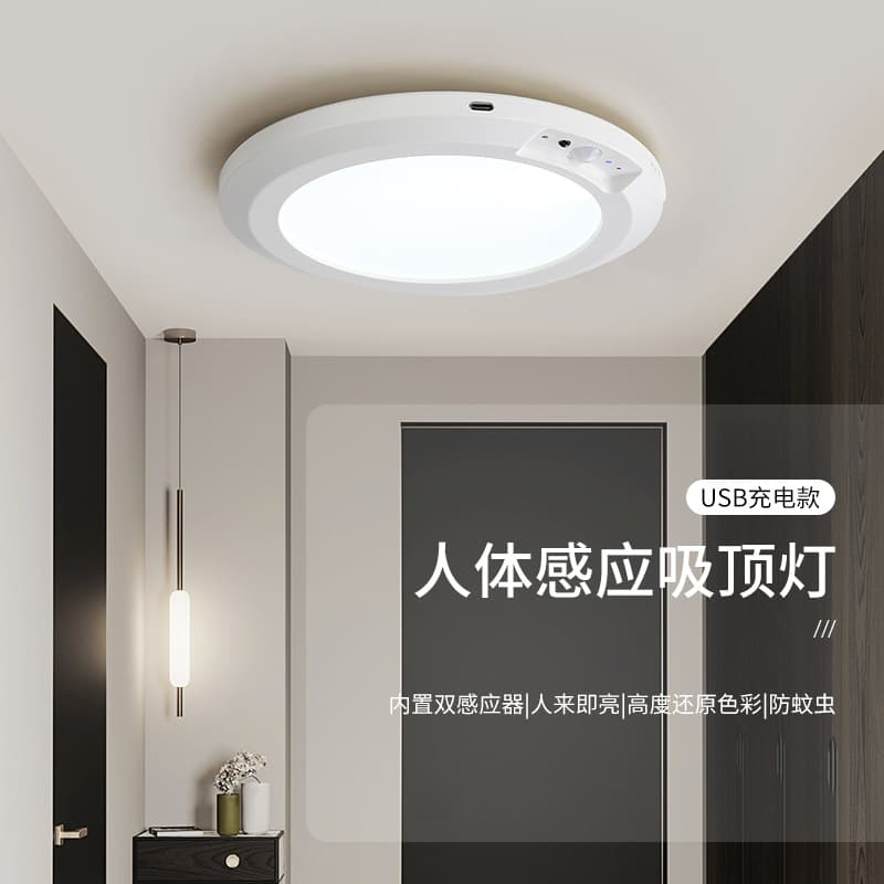 Human body sensor ceiling light for hallway, walk-in closet, and balcony; LED, wireless, USB rechargeable, with remote control.